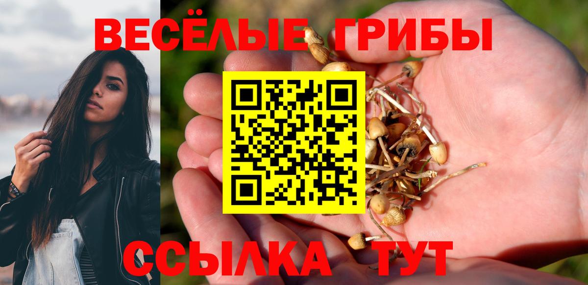 Галлюциногенные грибы мухоморы  Вход с VPN  Псилоцибиновые грибы GOLDEN TEACHER  Карпинск 